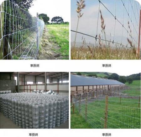 草原围网 牛栏网 退牧还草工程围栏